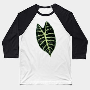 Alocasia Longiloba - Rothschild - Botanical Illustration Baseball T-Shirt